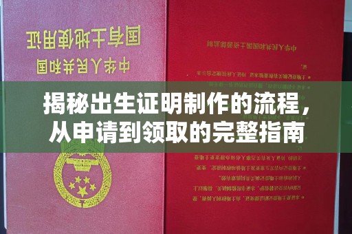 华坪揭秘出生证明制作的流程，从申请到领取的完整指南